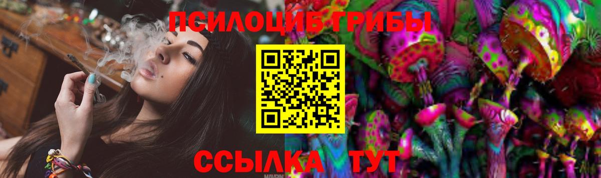 Мончегорск  Псилоцибиновые грибы прущие грибы  хочу   Вход с VPN 